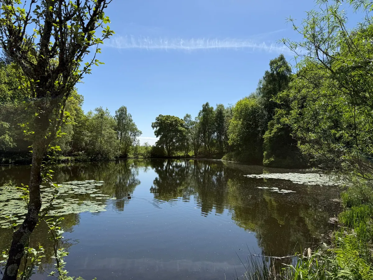 How to Wild Swim Safely in Scottish Lochs: A Beginner's Guide
